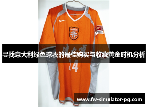 寻找意大利绿色球衣的最佳购买与收藏黄金时机分析