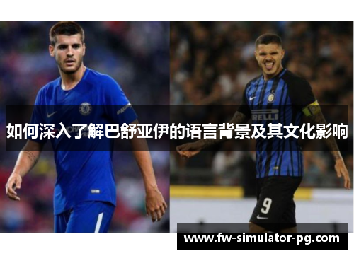 如何深入了解巴舒亚伊的语言背景及其文化影响 如何深入了解巴舒亚伊的语言背景及其文化影响