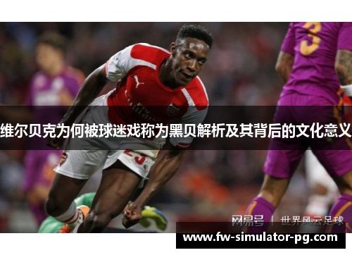 维尔贝克为何被球迷戏称为黑贝解析及其背后的文化意义